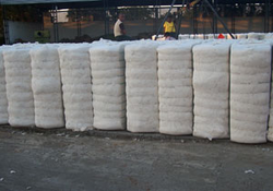 Cotton Fibers Manufacturer Supplier Wholesale Exporter Importer Buyer Trader Retailer in Jalgaon - Maharashtra India
